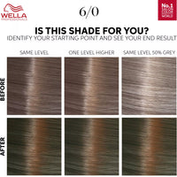 Wella Professionals Color Touch OTC Pure Naturals Dark Blonde 6/0
