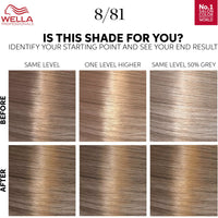 Wella Professionals Color Touch OTC Rich Natural Pearl Blonde 8/81