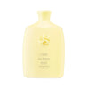 Hair Alchemy Resilience Shampoo 250 ml