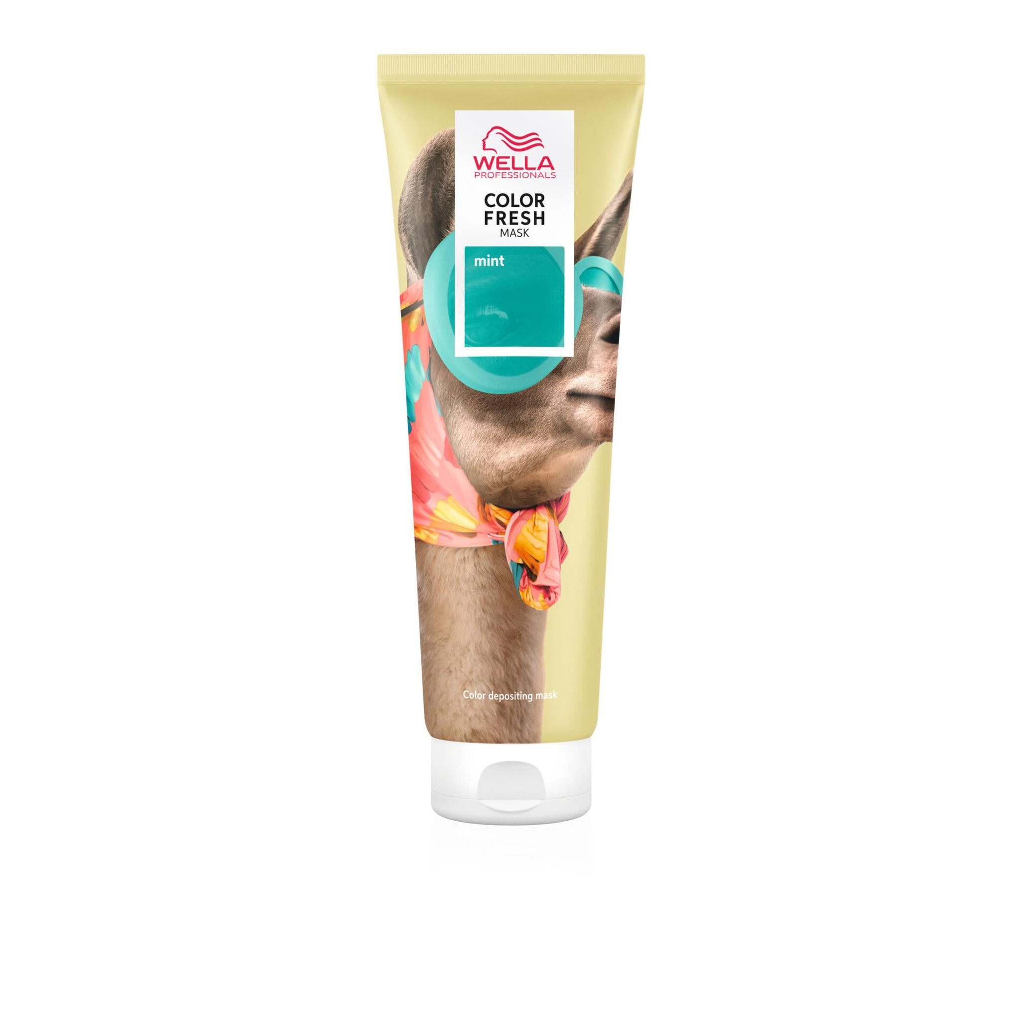 Color Fresh Mask Mint 150 ml