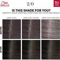 Wella Professionals Color Touch OTC Pure Naturals Black 2/0