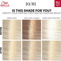 Wella Professionals Color Touch OTC Rich Natural Platinum Blonde 10/81